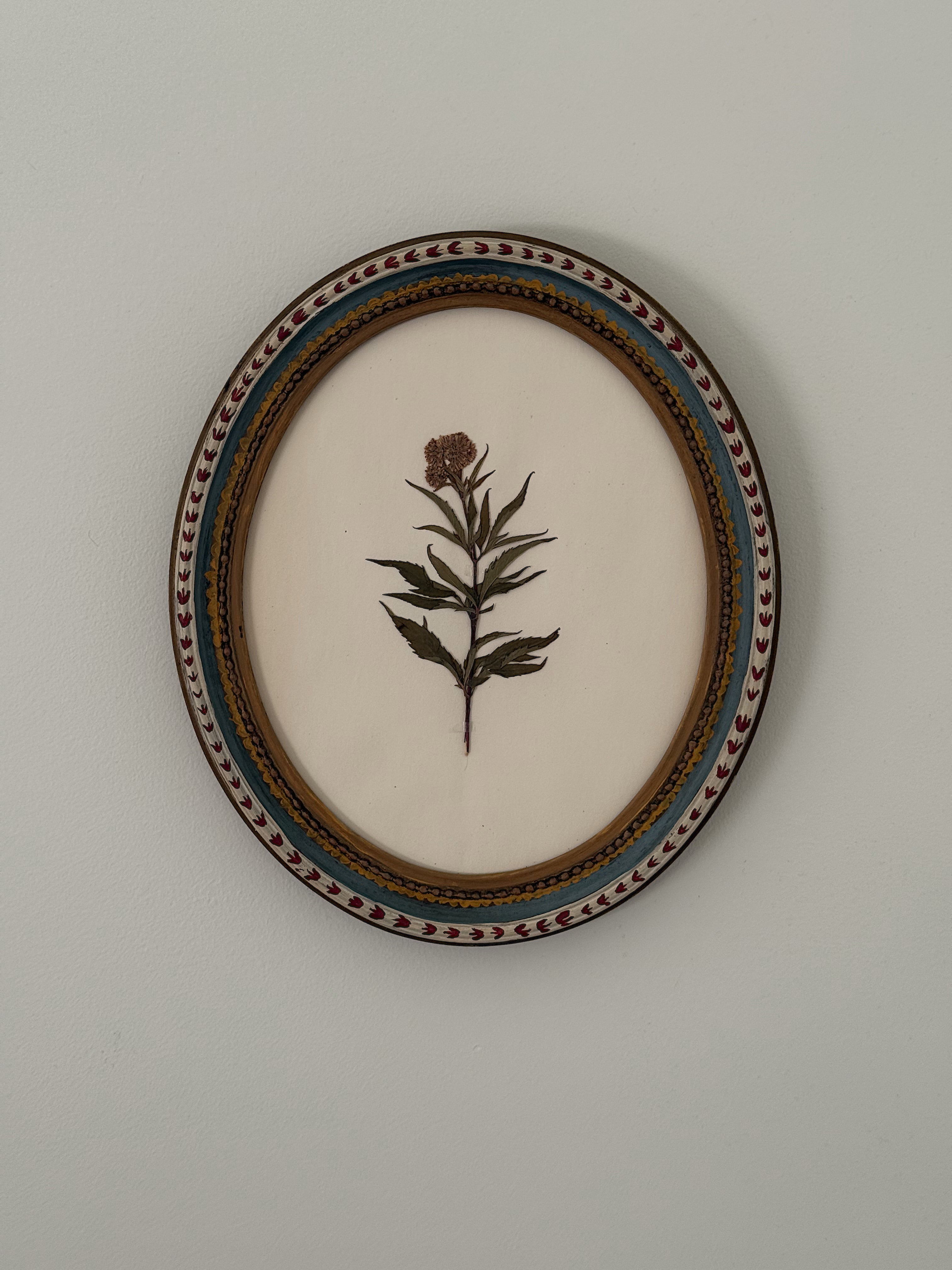 Hand Painted Antique Frame with 1920’s Dutch Herbarium