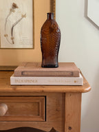 Vintage Amber Glass Fish Bitters Bottle