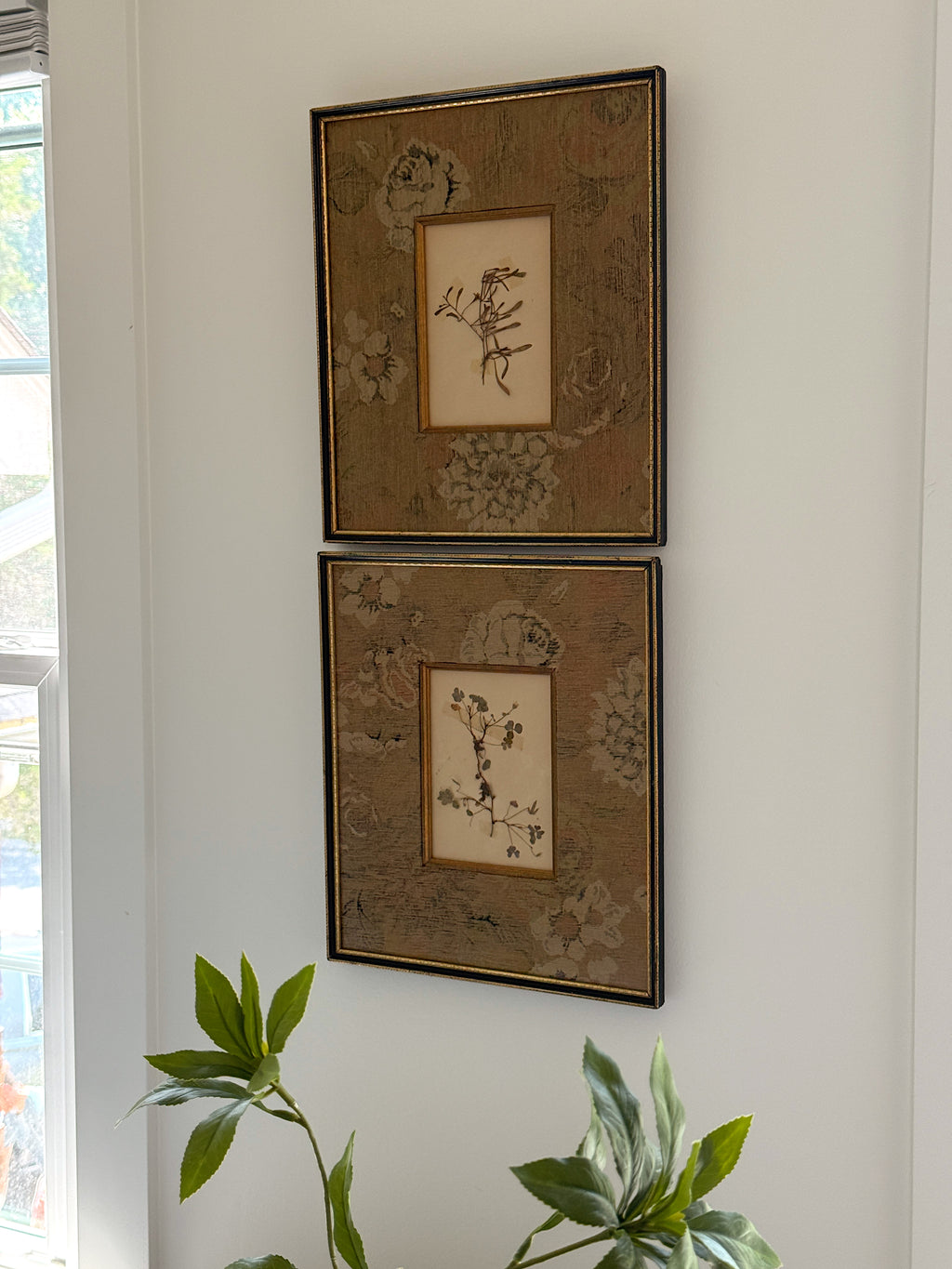 Set of Two Finnish Herbarium Specimens in Antique Frames