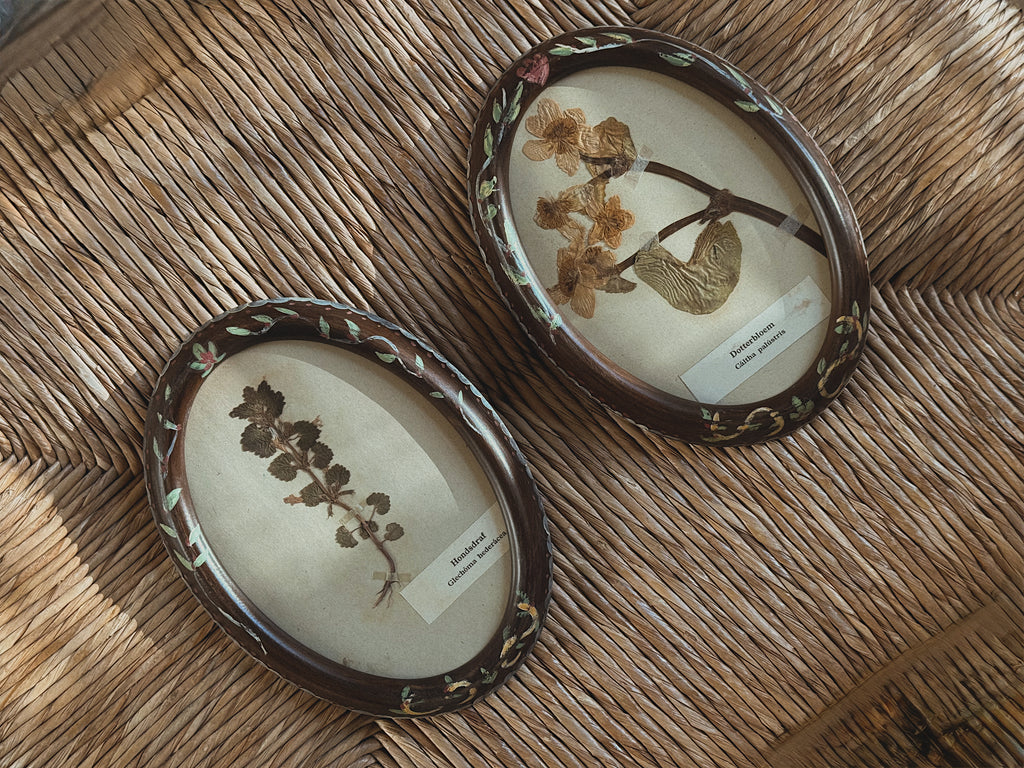 Pair of Antique (c. 1920) Dutch Herbarium Specimens in Hand-Painted Oval Frames