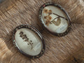 Pair of Antique (c. 1920) Dutch Herbarium Specimens in Hand-Painted Oval Frames