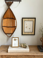 1950 Finnish Herbarium in Antique Frame