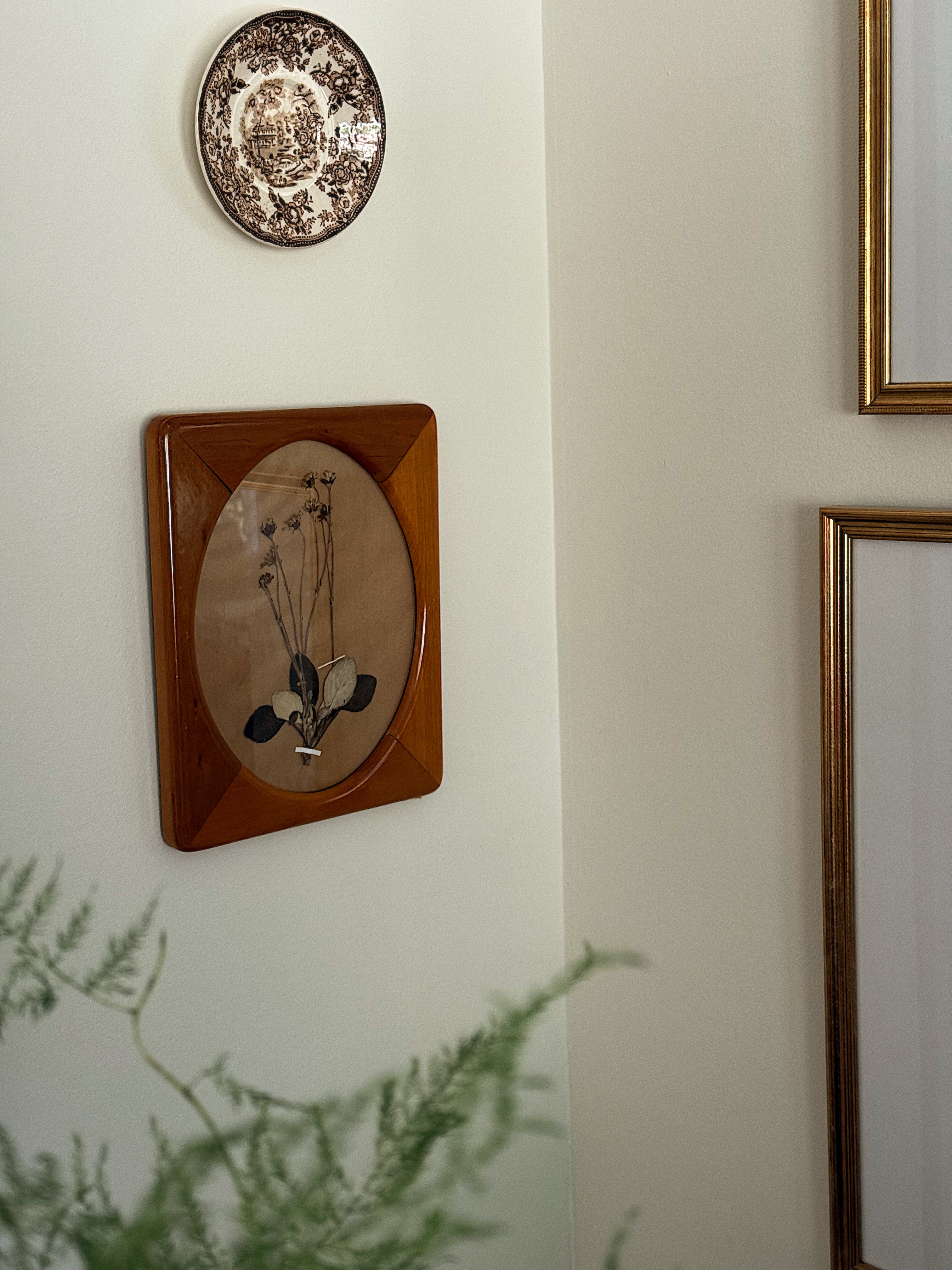 Herbarium Specimen in Vintage Oval Display Wood Frame