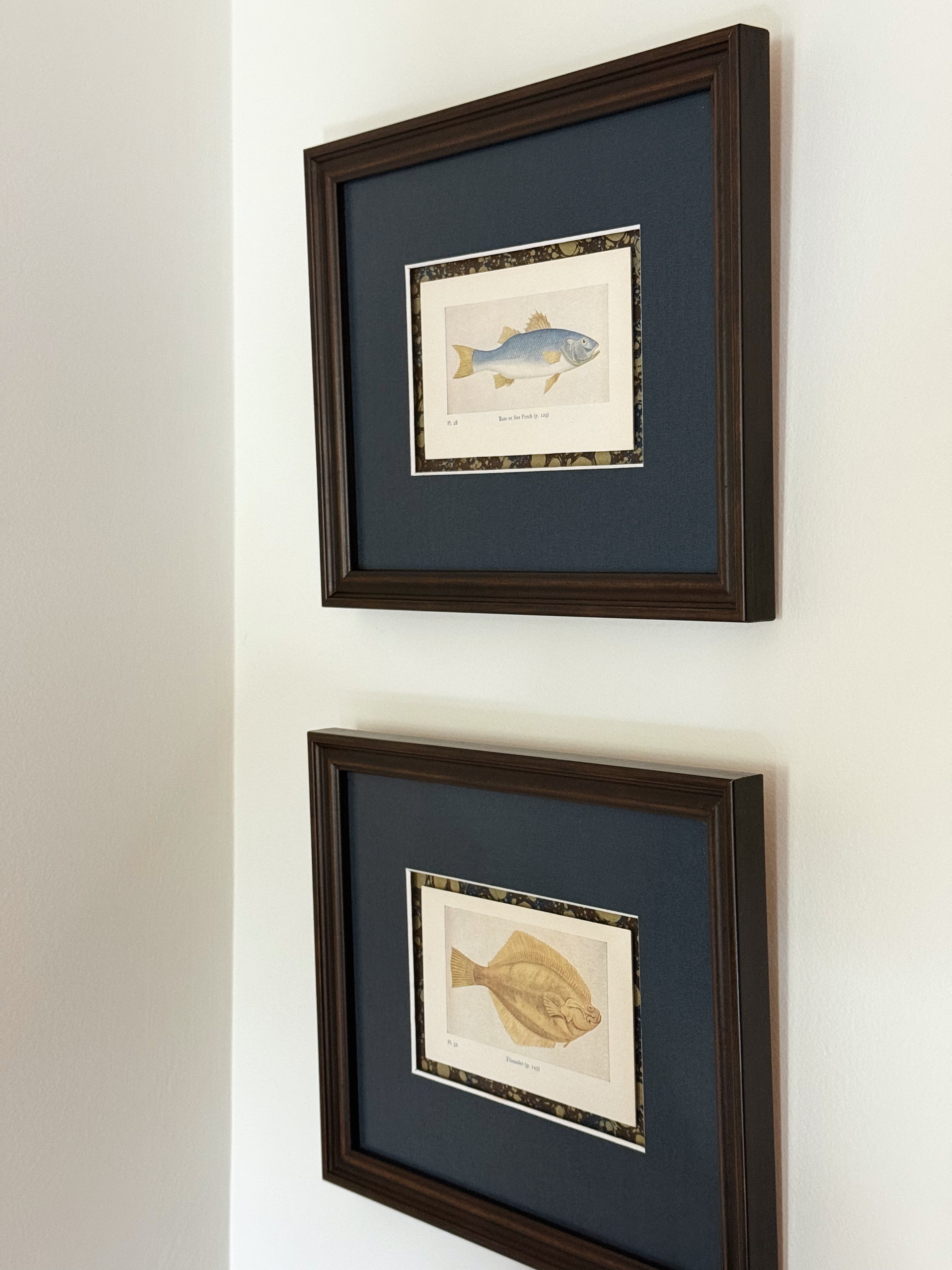 Set of Two Framed Vintage Fish Book Plates