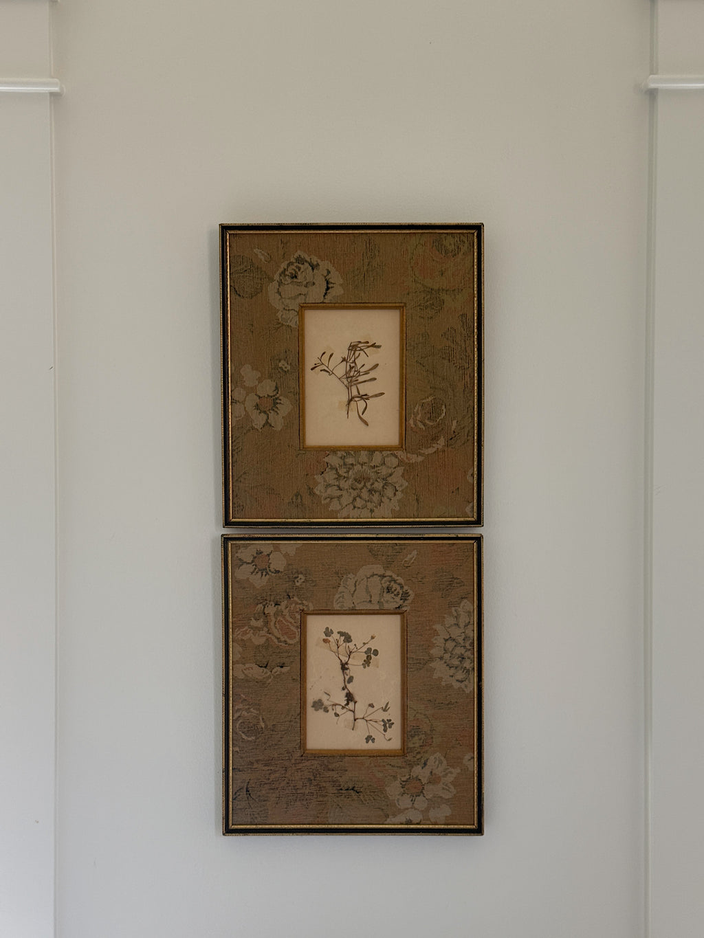 Set of Two Finnish Herbarium Specimens in Antique Frames