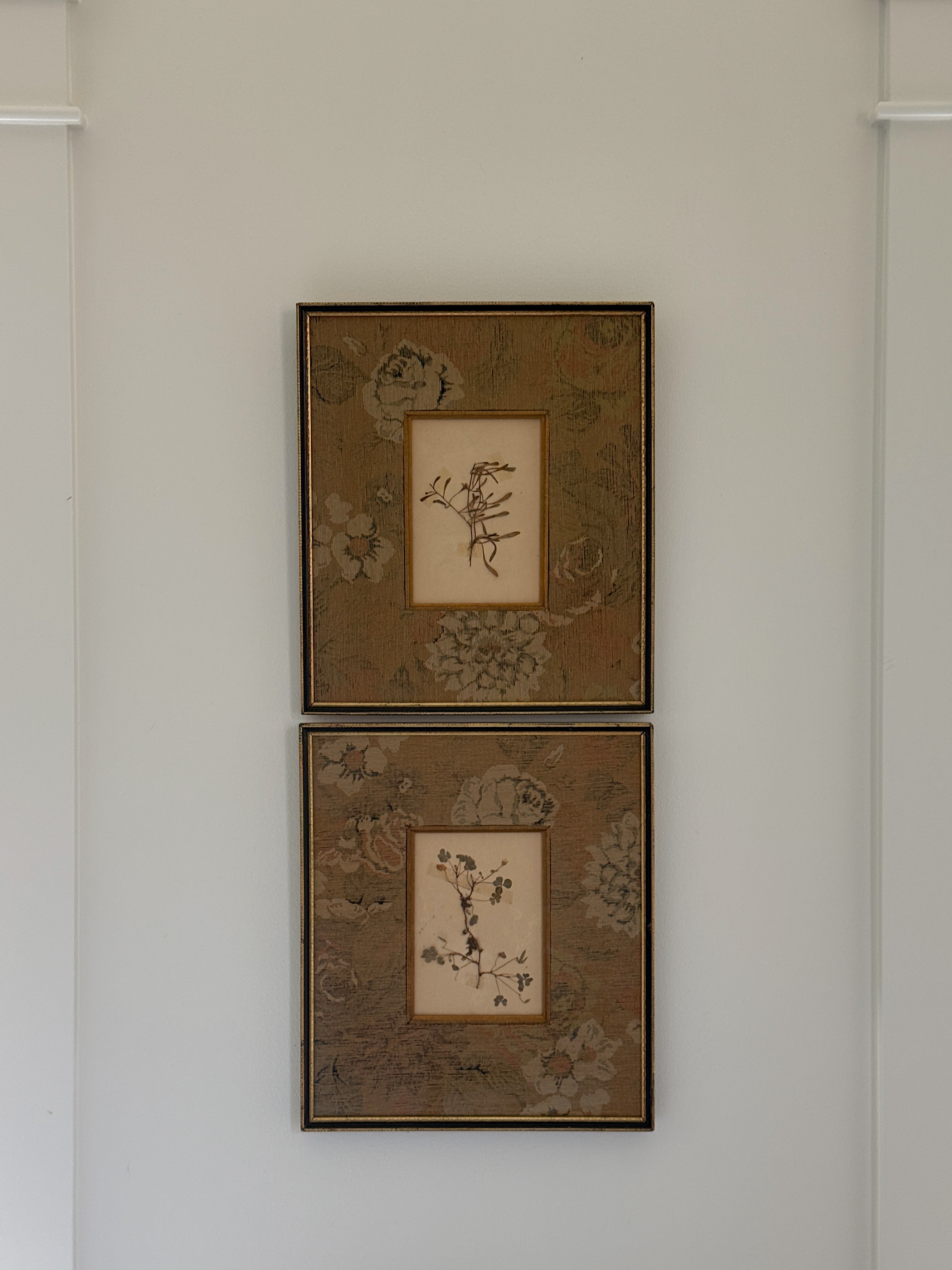 Set of Two Finnish Herbarium Specimens in Antique Frames