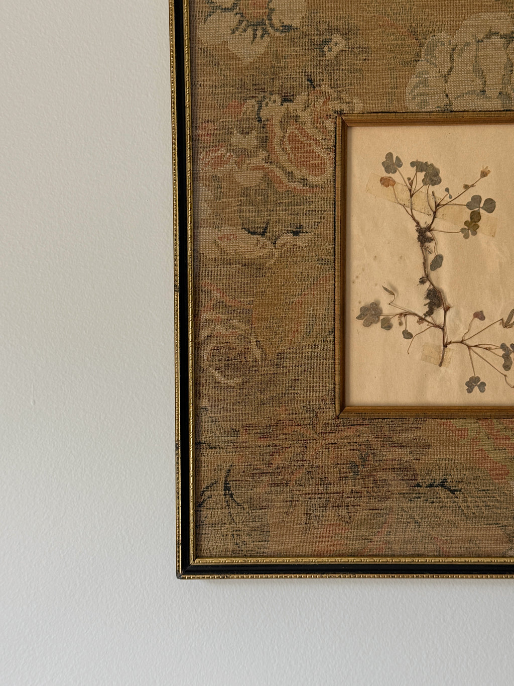 Set of Two Finnish Herbarium Specimens in Antique Frames
