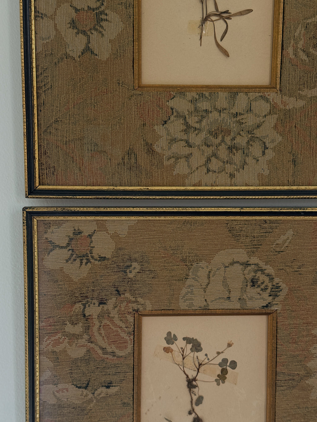Set of Two Finnish Herbarium Specimens in Antique Frames