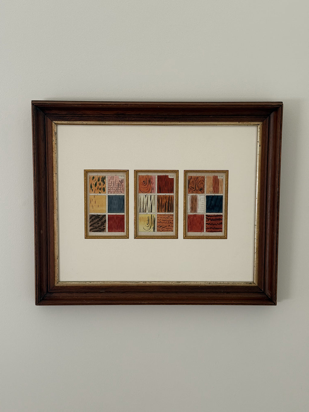 Hand-Colored Wood Species Study c.1890 in Antique Frame