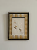 1950 Finnish Herbarium in Antique Frame