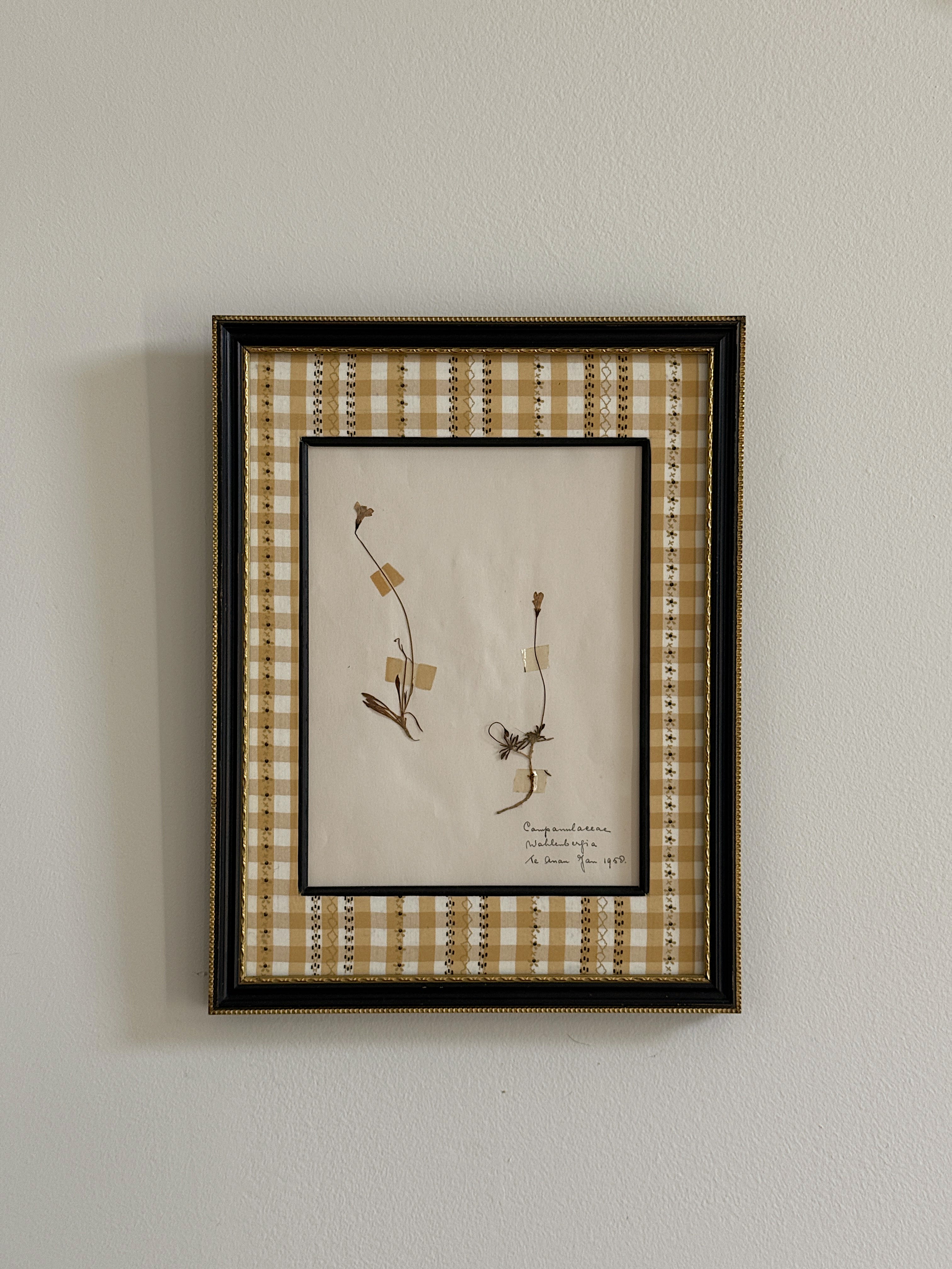 1950 Finnish Herbarium in Antique Frame