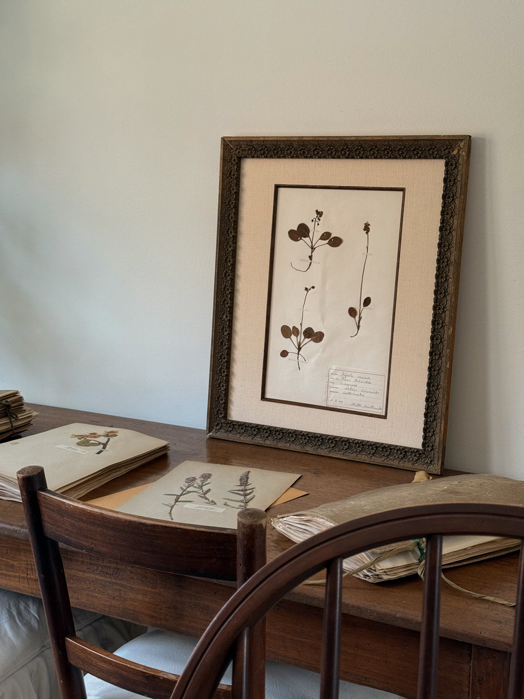 Finnish Herbarium Specimen in Antique Floral Frame