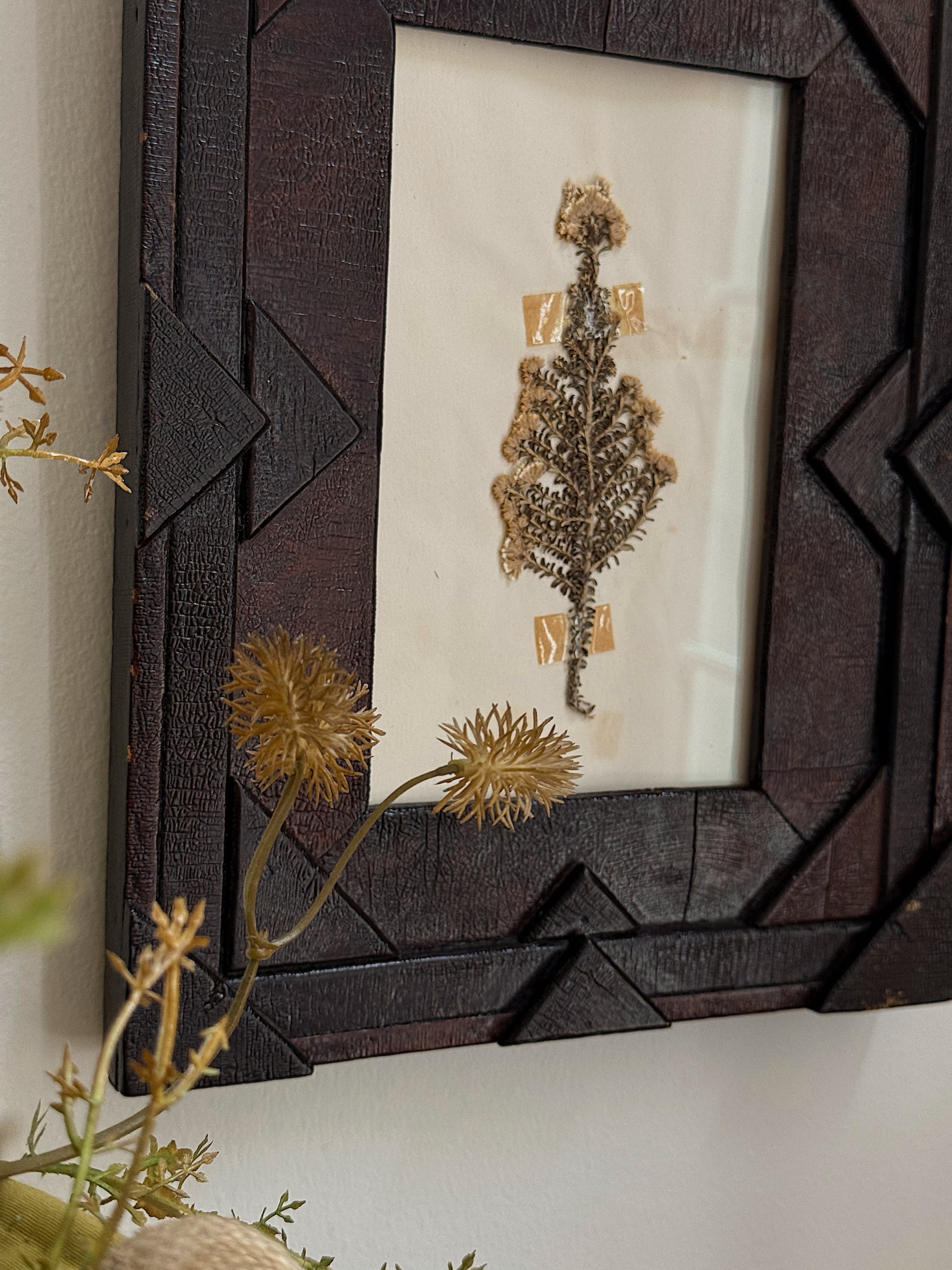 Vintage Herbarium Specimen in Brutalist Frame