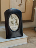 Antique Dutch Herbarium in Danish Wood Frame