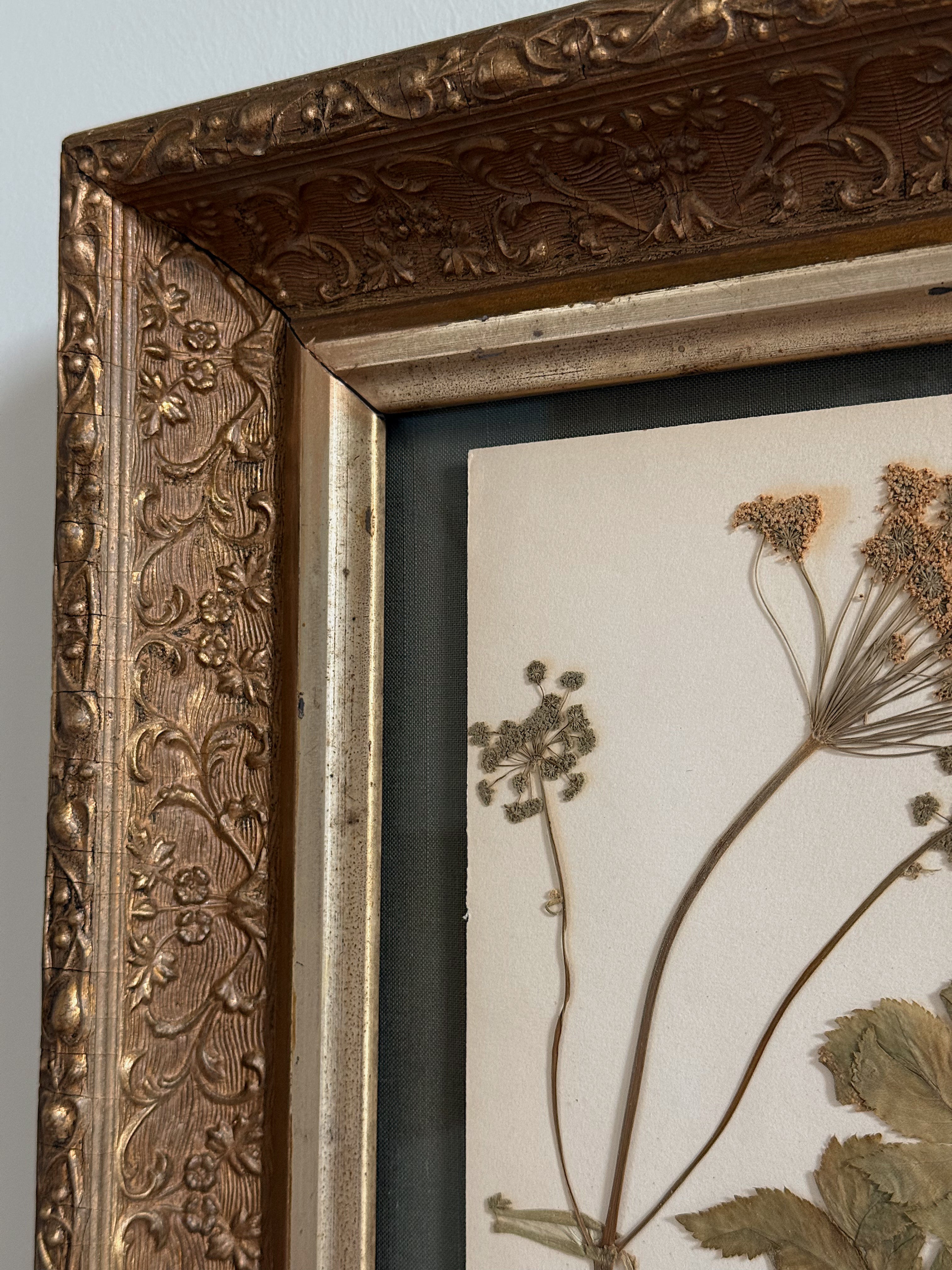 Custom Framed Finnish Herbarium Specimen in Antique Frame