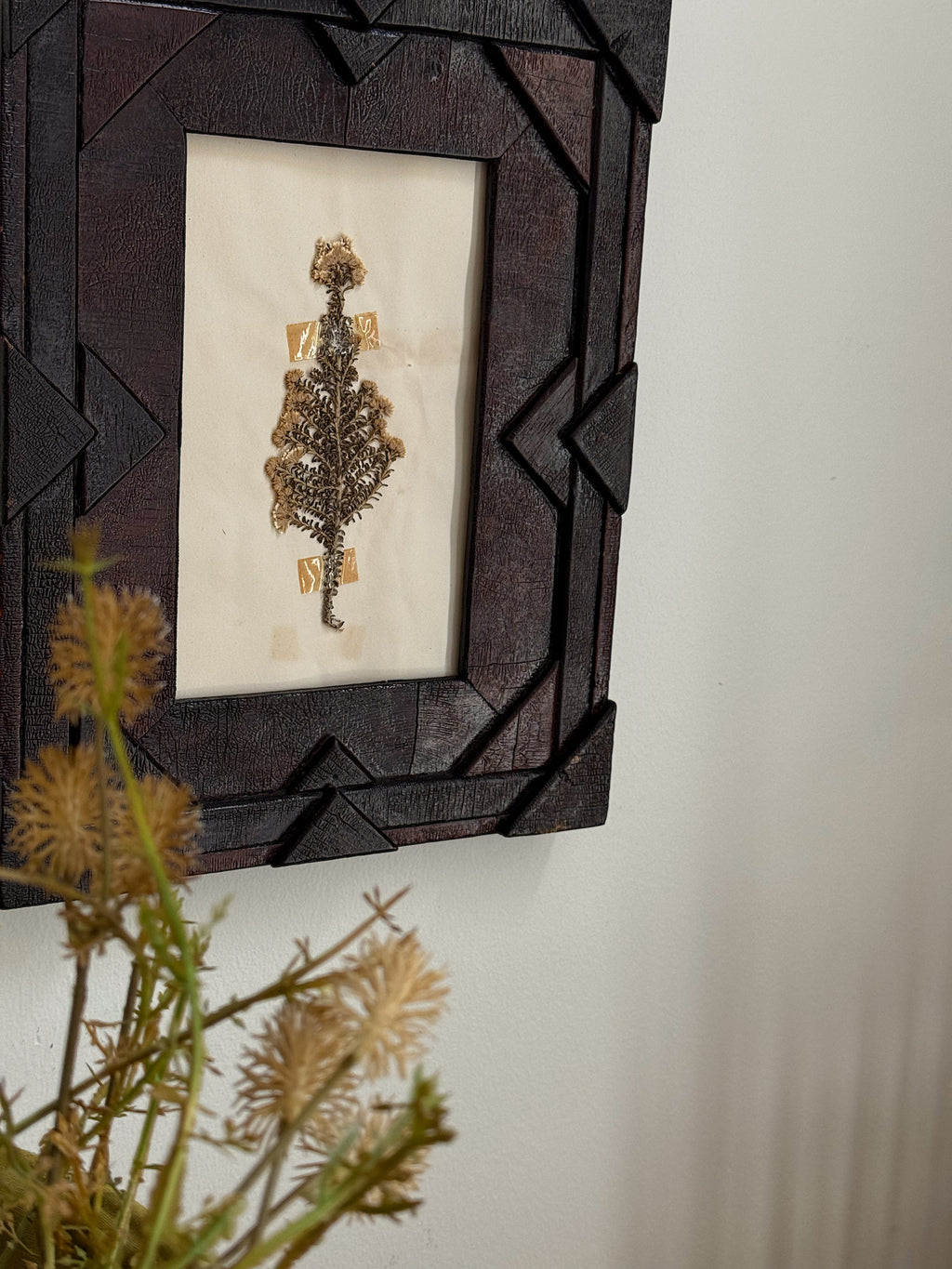 Vintage Herbarium Specimen in Brutalist Frame