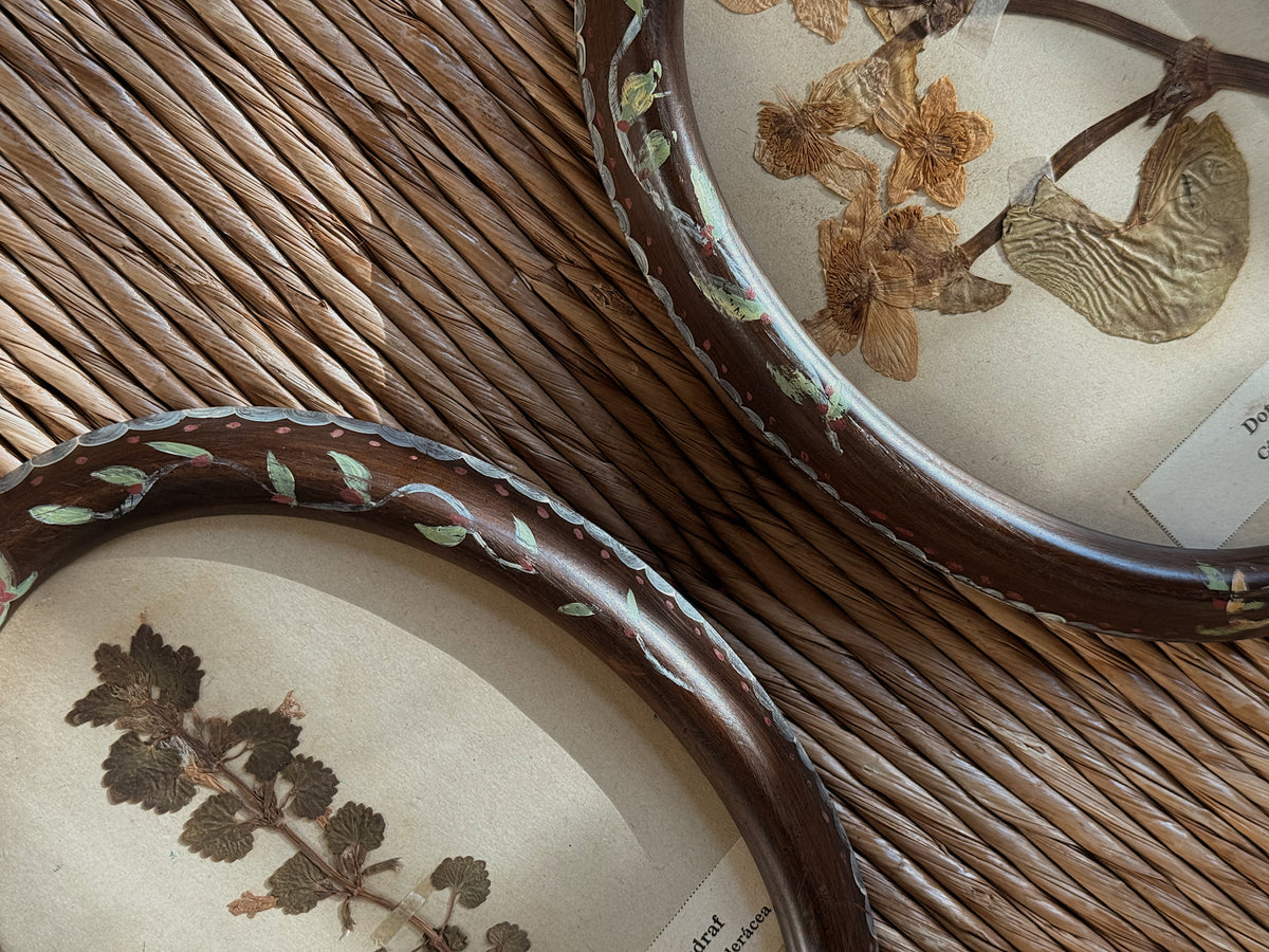 Pair of Antique (c. 1920) Dutch Herbarium Specimens in Hand-Painted Oval Frames