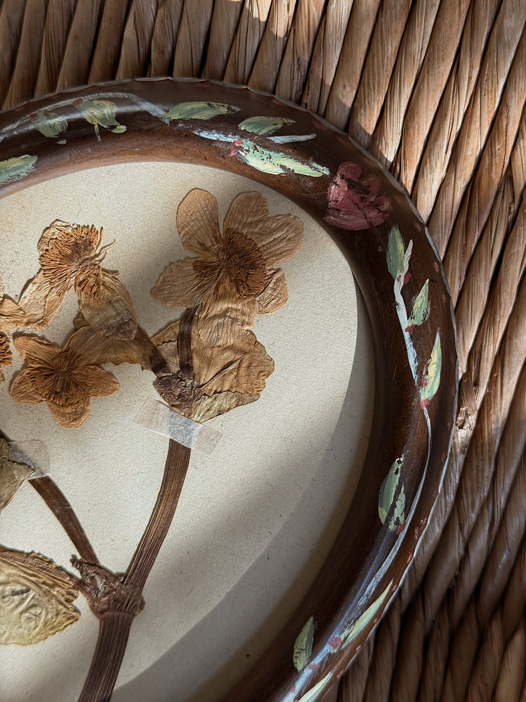 Pair of Antique (c. 1920) Dutch Herbarium Specimens in Hand-Painted Oval Frames