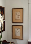 Set of Two Antique New Zealand Herbarium Specimens, Custard Linen Antique Frame