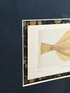 Set of Two Framed Vintage Fish Book Plates