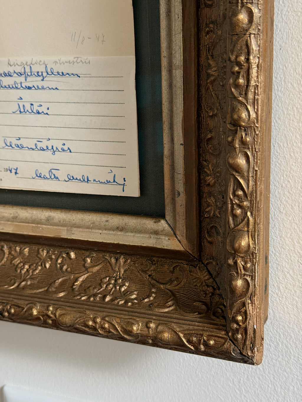 Custom Framed Finnish Herbarium Specimen in Antique Frame