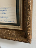 Custom Framed Finnish Herbarium Specimen in Antique Frame