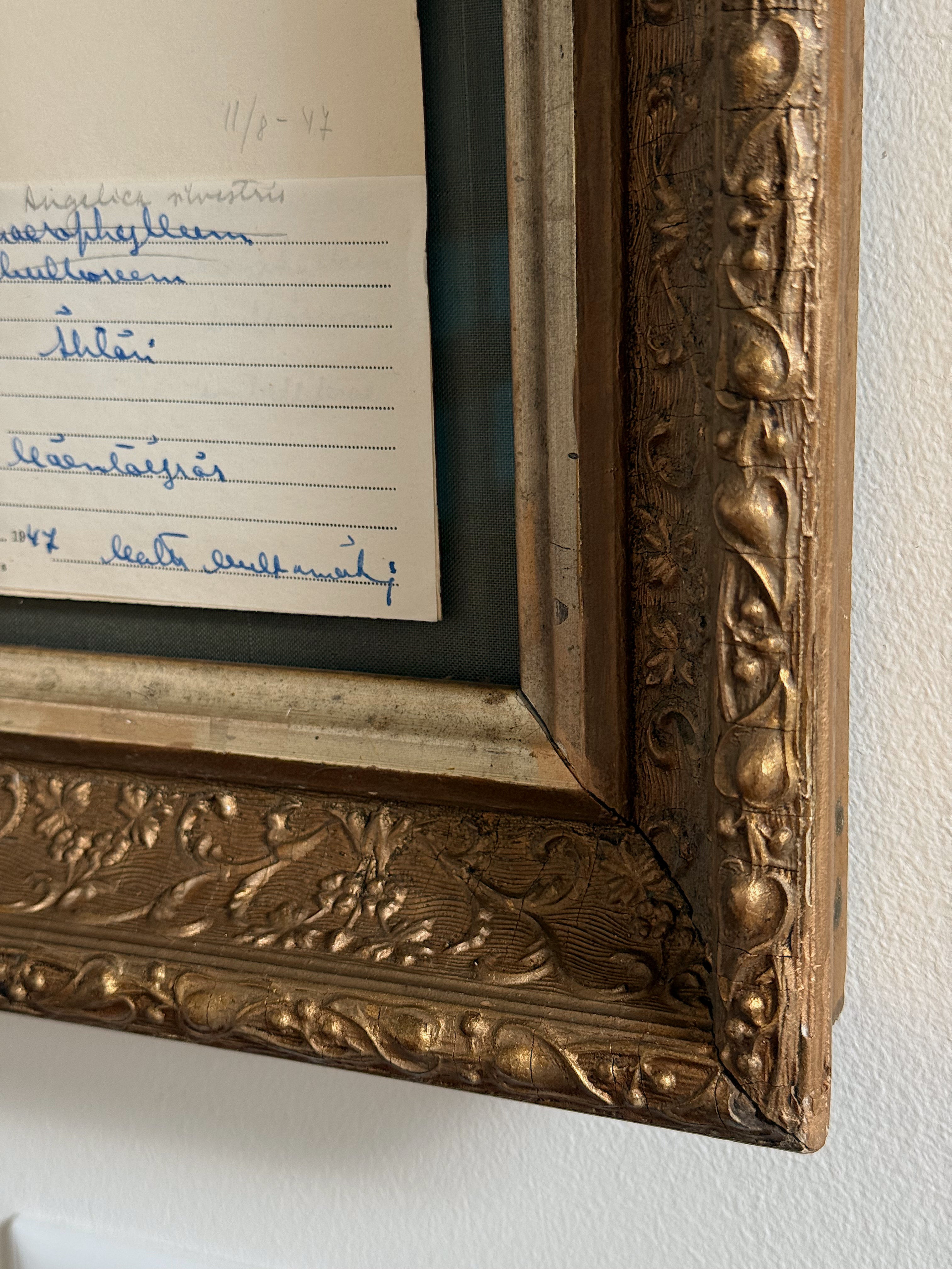 Custom Framed Finnish Herbarium Specimen in Antique Frame
