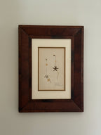 Finnish Herbarium Specimen in Antique Walnut Frame