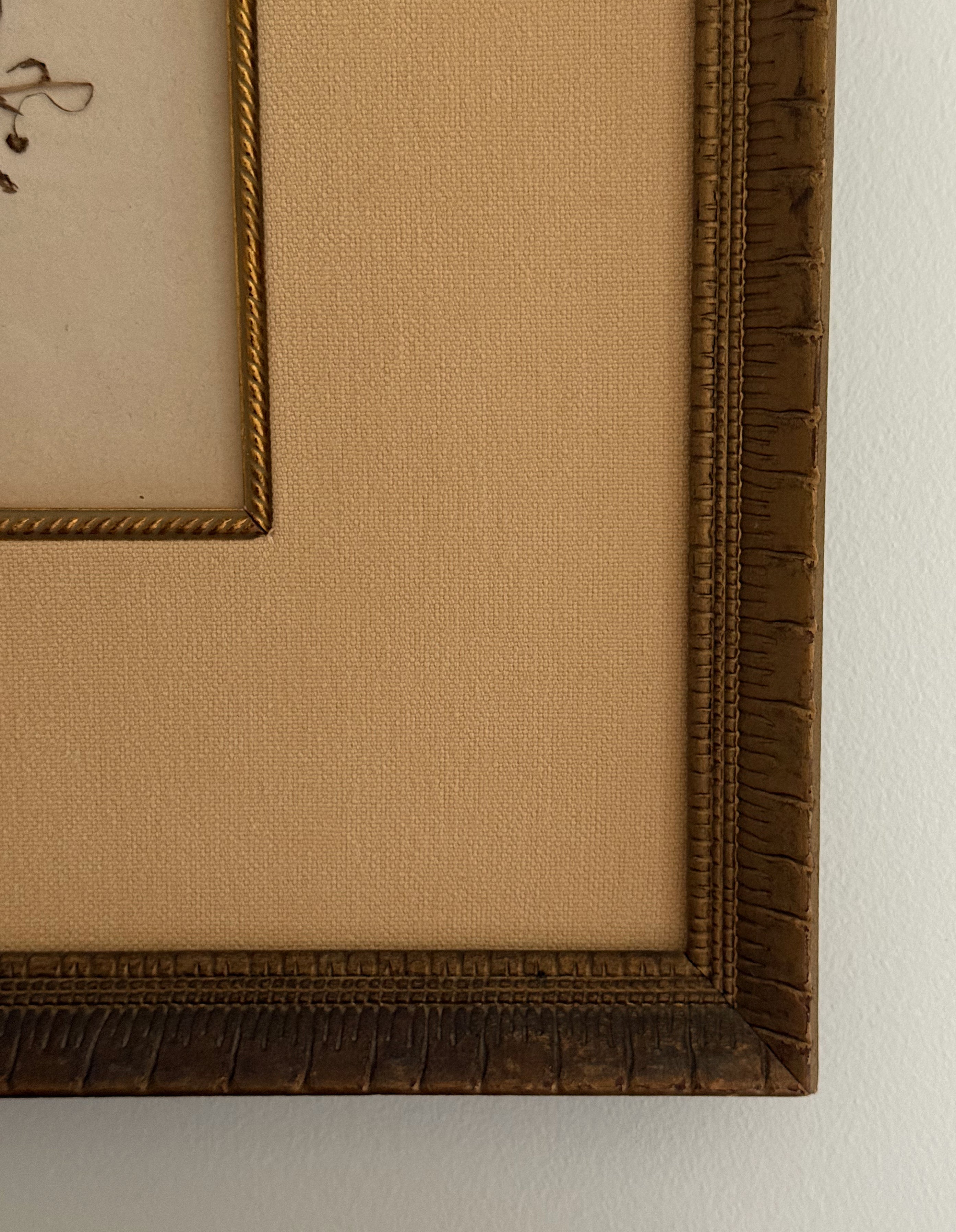 Set of Two Antique New Zealand Herbarium Specimens, Custard Linen Antique Frame