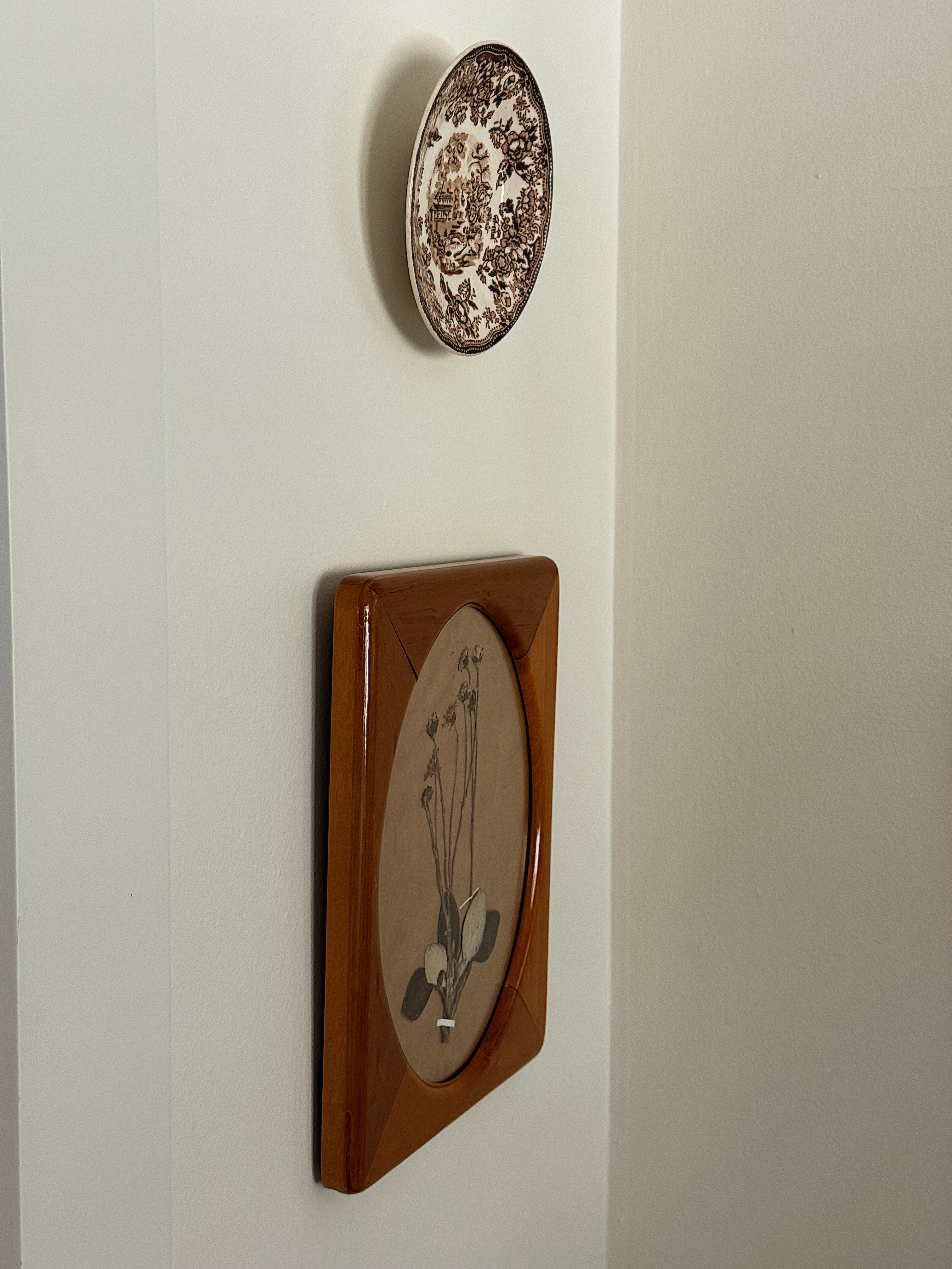 Herbarium Specimen in Vintage Oval Display Wood Frame