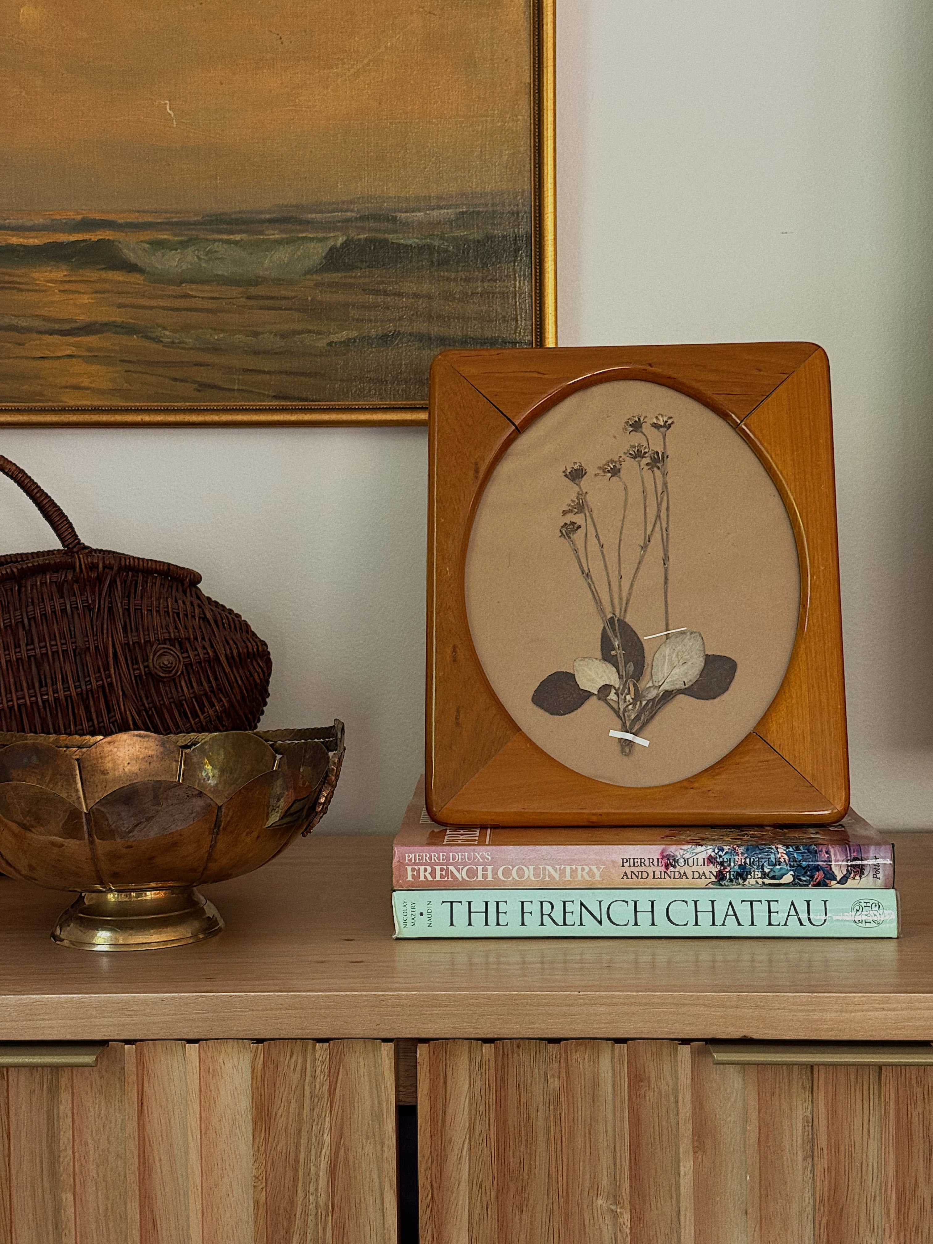 Herbarium Specimen in Vintage Oval Display Wood Frame