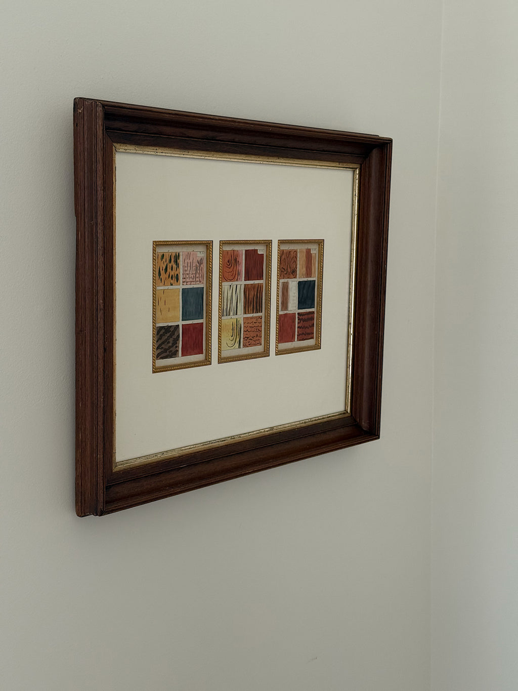 Hand-Colored Wood Species Study c.1890 in Antique Frame