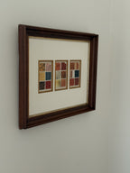 Hand-Colored Wood Species Study c.1890 in Antique Frame