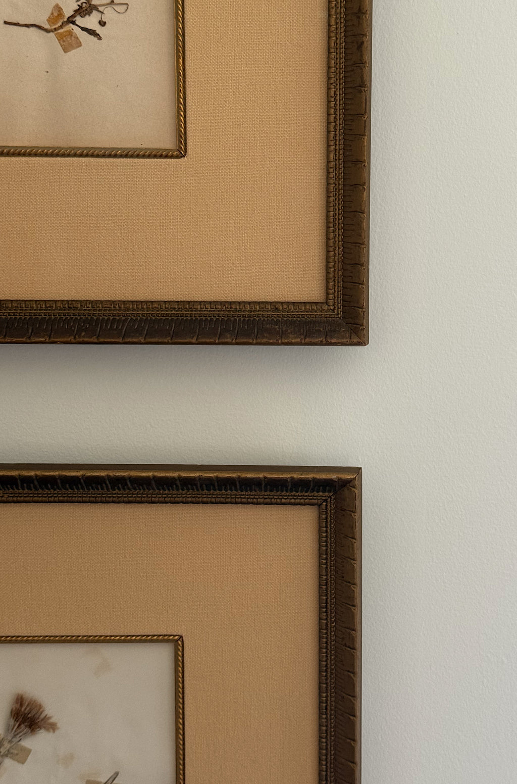Set of Two Antique New Zealand Herbarium Specimens, Custard Linen Antique Frame