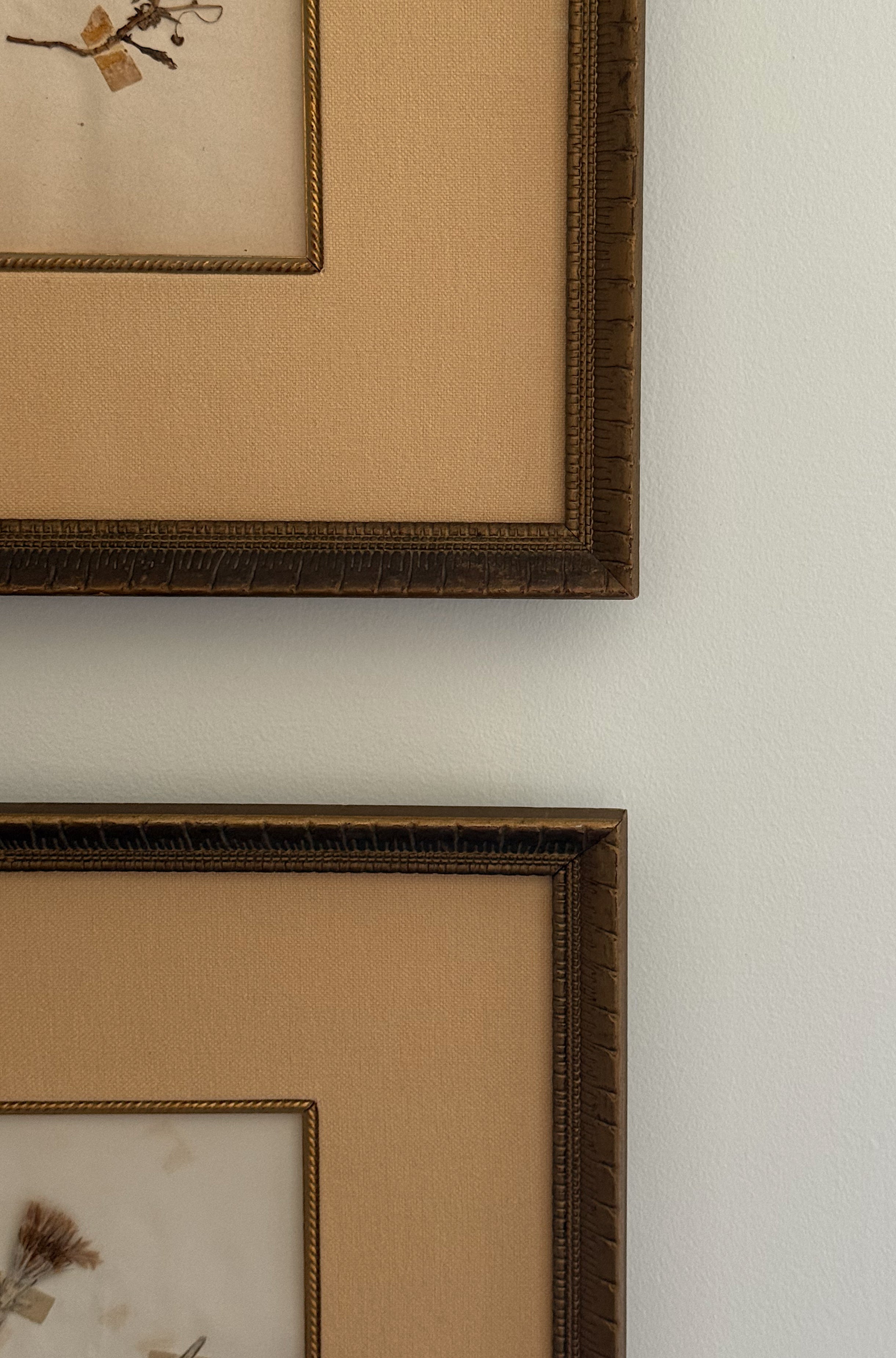Set of Two Antique New Zealand Herbarium Specimens, Custard Linen Antique Frame