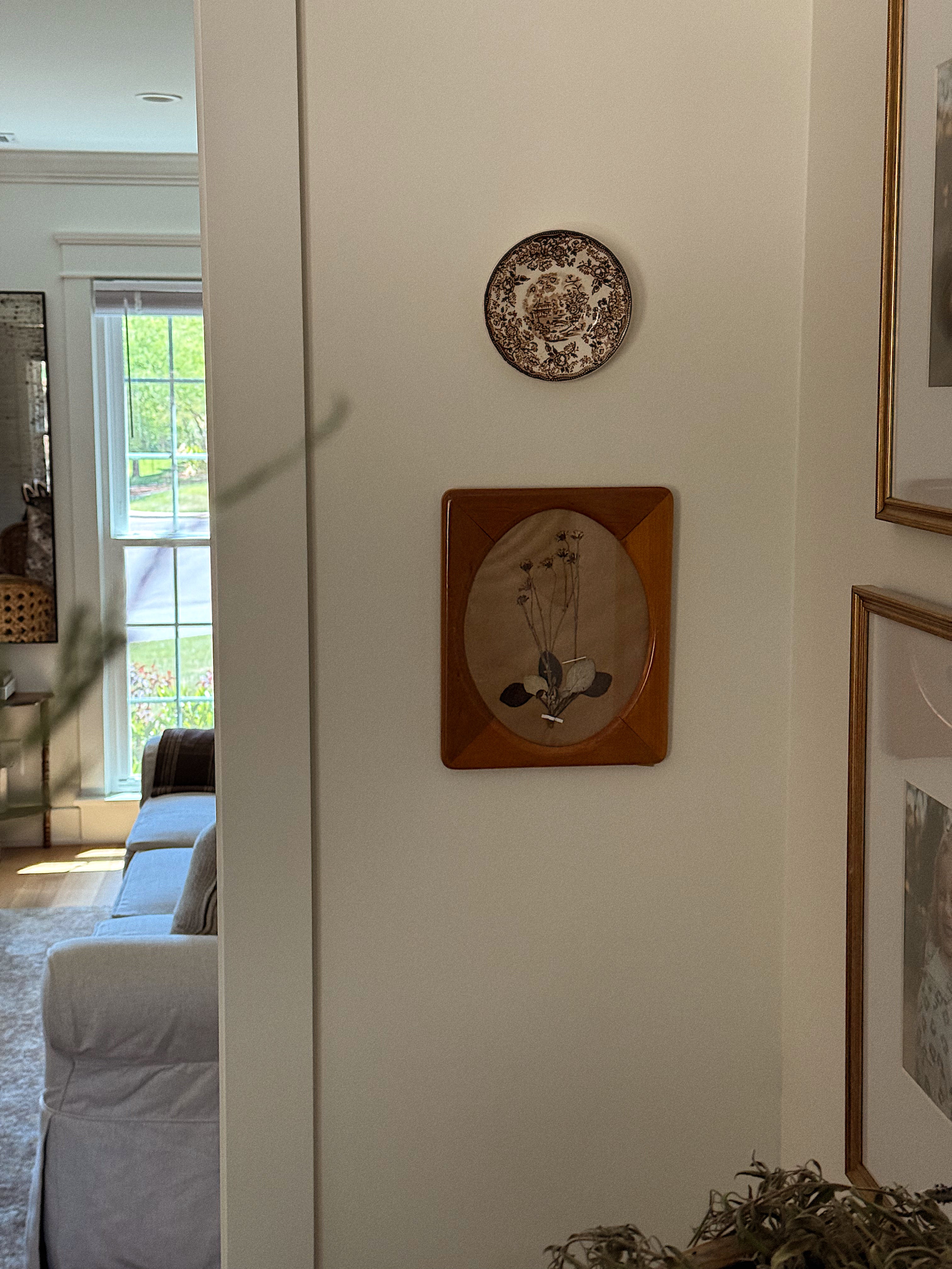 Herbarium Specimen in Vintage Oval Display Wood Frame
