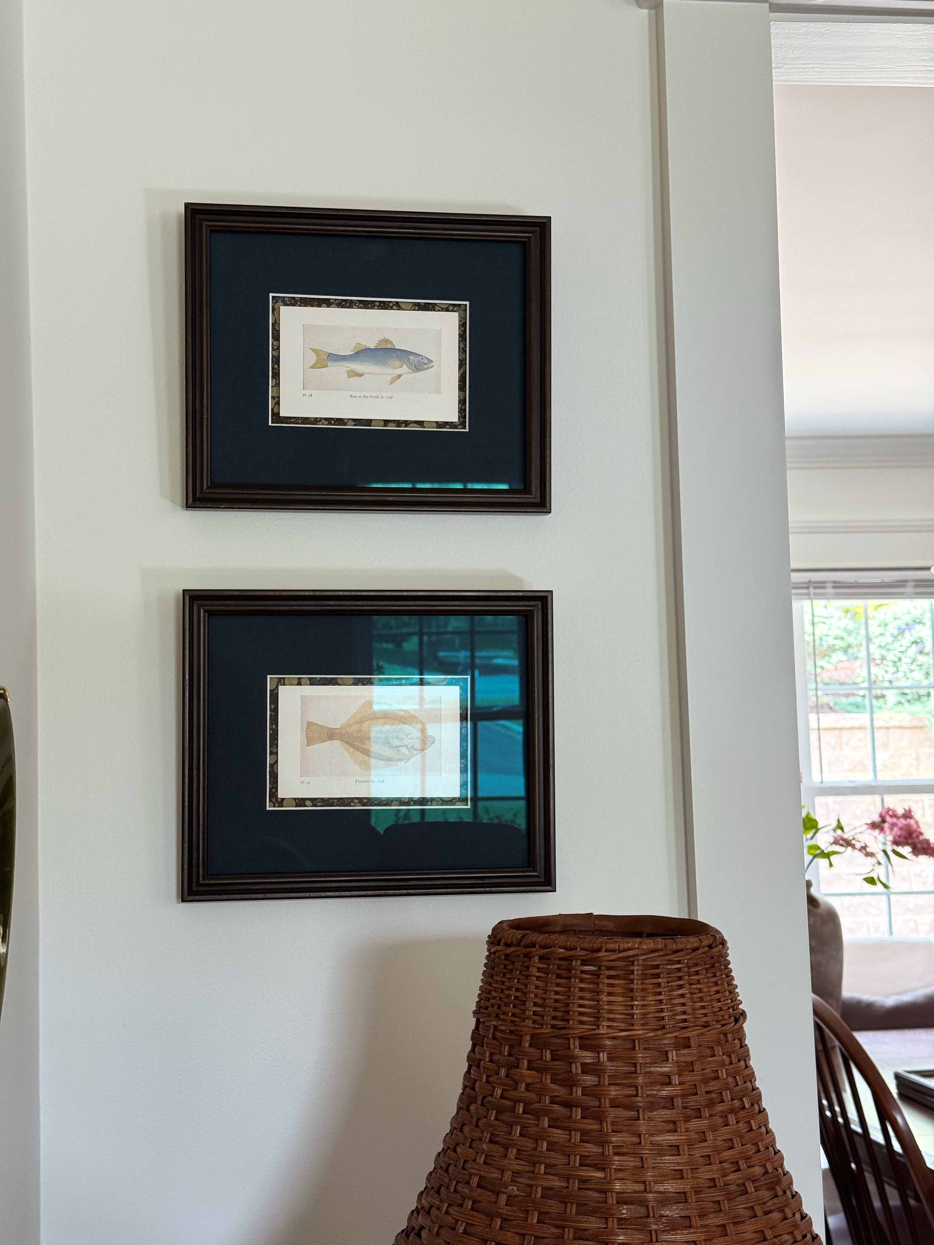 Set of Two Framed Vintage Fish Book Plates