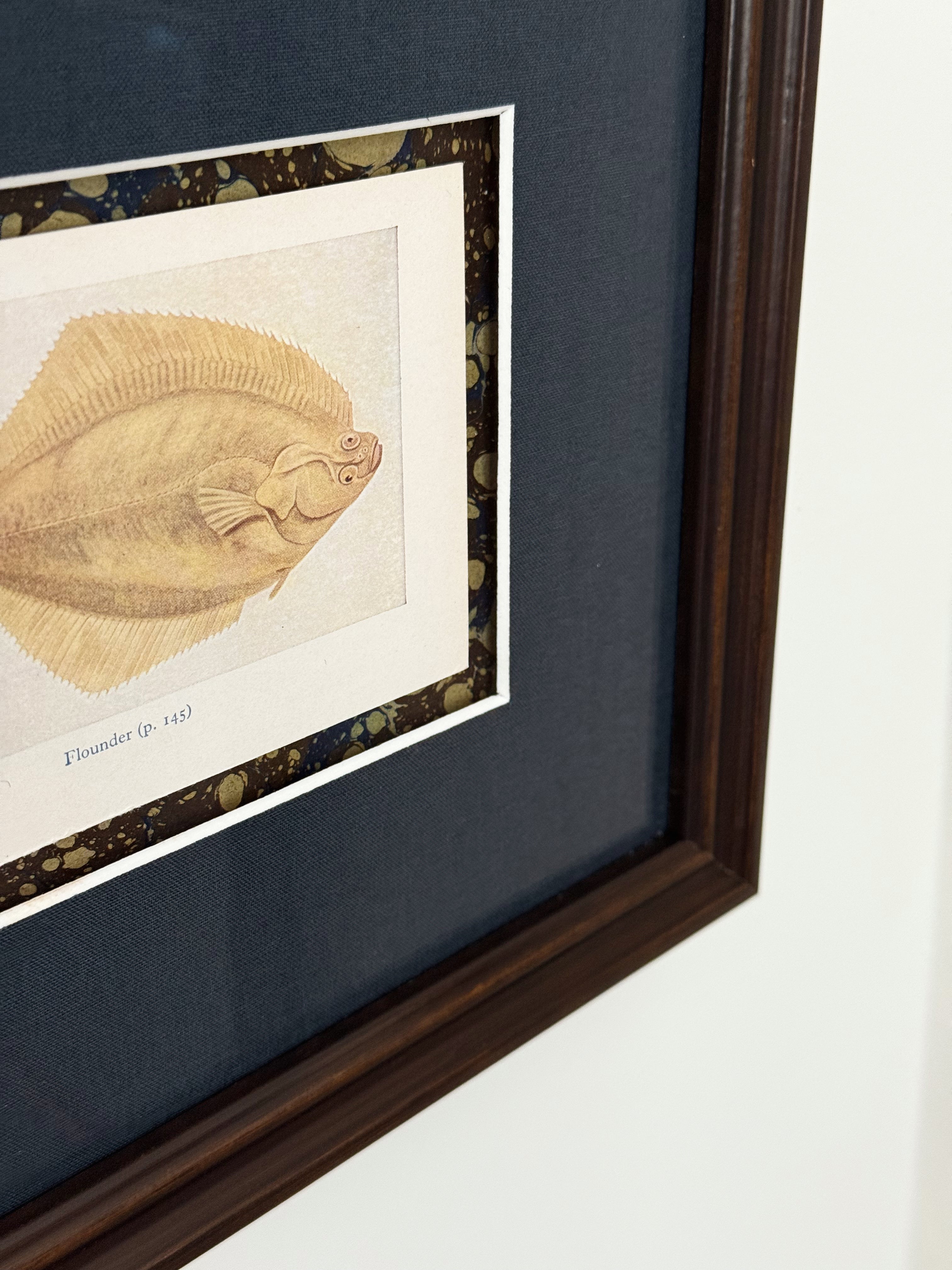 Set of Two Framed Vintage Fish Book Plates