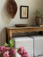 New Zealand  Herbarium Specimen in Antique Burlwood Frame