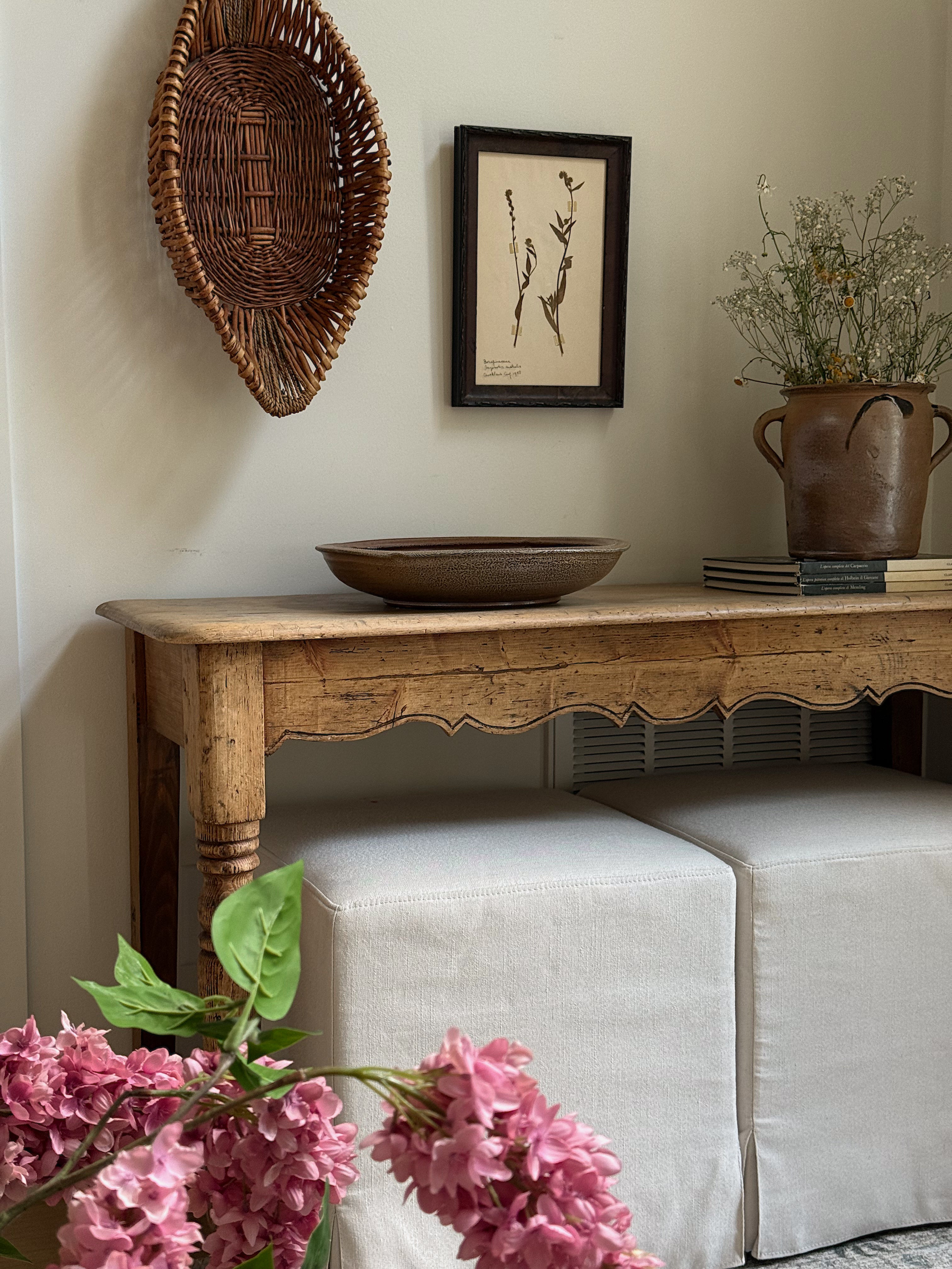 New Zealand  Herbarium Specimen in Antique Burlwood Frame