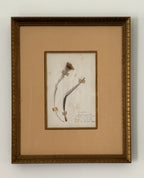 Set of Two Antique New Zealand Herbarium Specimens, Custard Linen Antique Frame